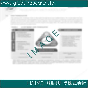 グローバルリサーチ調査資料のイメージ